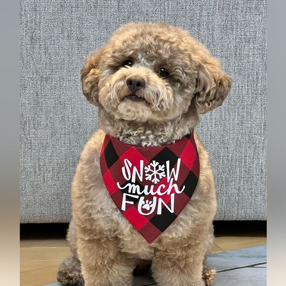 Red and black buffalo check bandana size medium - Picture 3 of 3